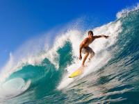 开云体育入口-宿命与新生，当凯尔特人横扫历史，爱德华兹在悬崖边写下未来