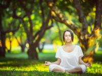 开云体育-文班亚马爆发，广厦队强势晋级上海队，篮球世界的双重奏