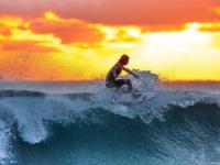 开云足球直播-当东契奇成为快船的影子对手，一场纽约尼克斯引发的蝴蝶效应