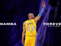 开云体育登录-武切维奇擎天一柱，火箭主场力克浙江取关键胜利