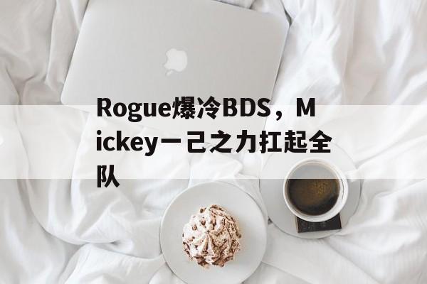 关于Rogue爆冷BDS，Mickey一己之力扛起全队的信息